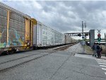 SFLC 308303